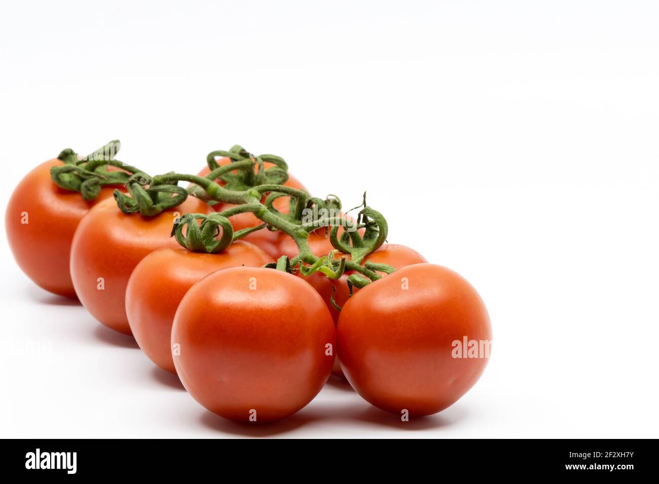 Fresh Tomatoes Isolated on White Background. Bunch of Fresh, Red Tomatoes with Green Stems Stock Photo