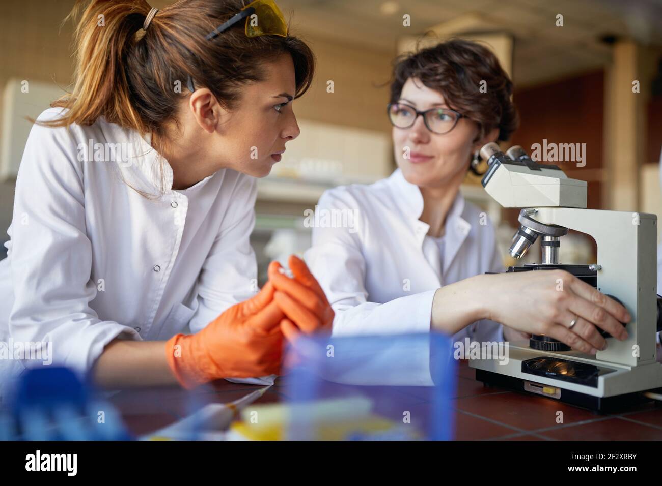 Two female laborant practitioners analyzing samples for analysis Stock Photo