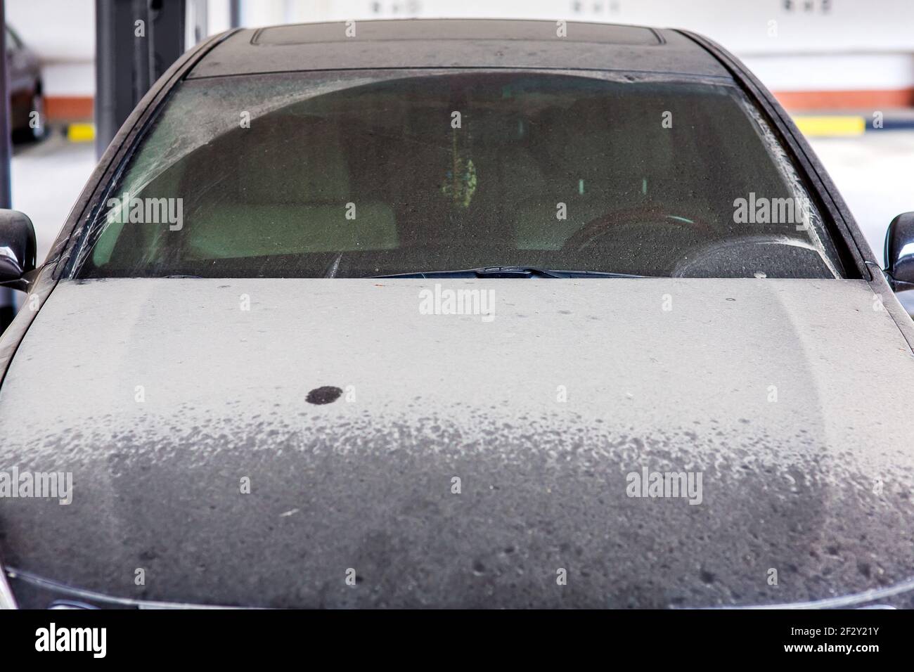 dirty black car with wiped windshield wipers covered with a layer of