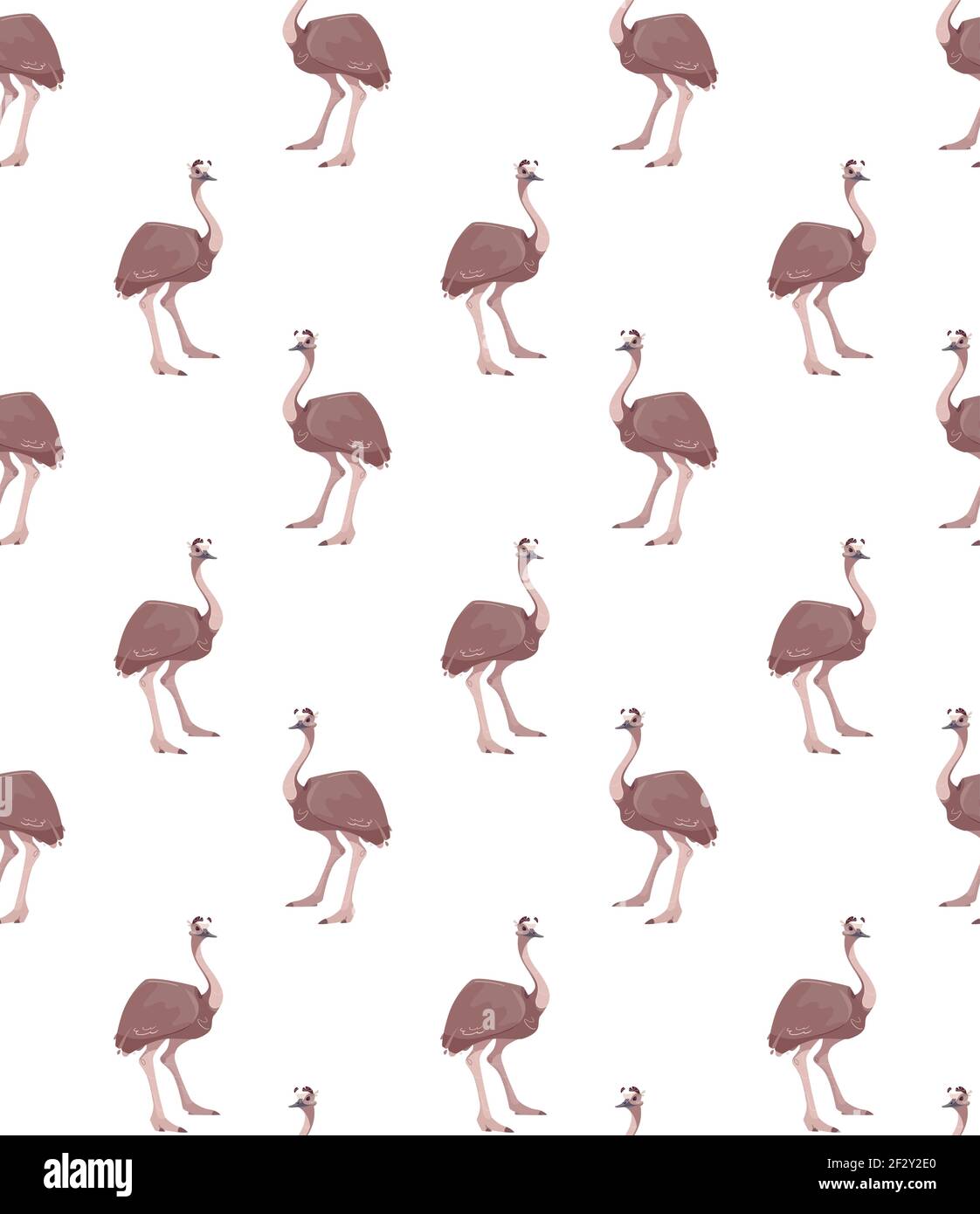 Cute seamless vector pattern with australian ostrich. Brown bird, for