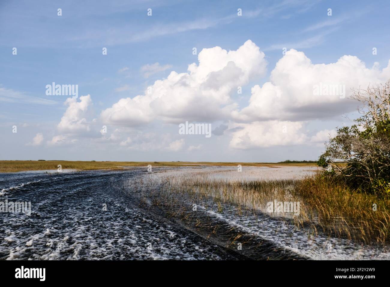 Boat Waves in Everglades with high white clouds and sunny blue sky Stock Photo
