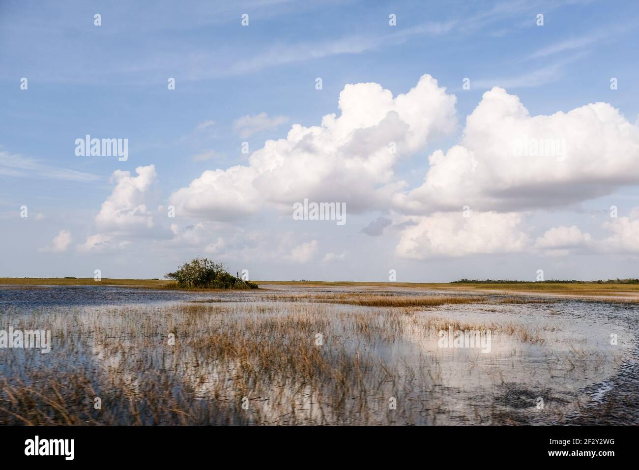 Boat Waves in Everglades with high white clouds and sunny blue sky Stock Photo