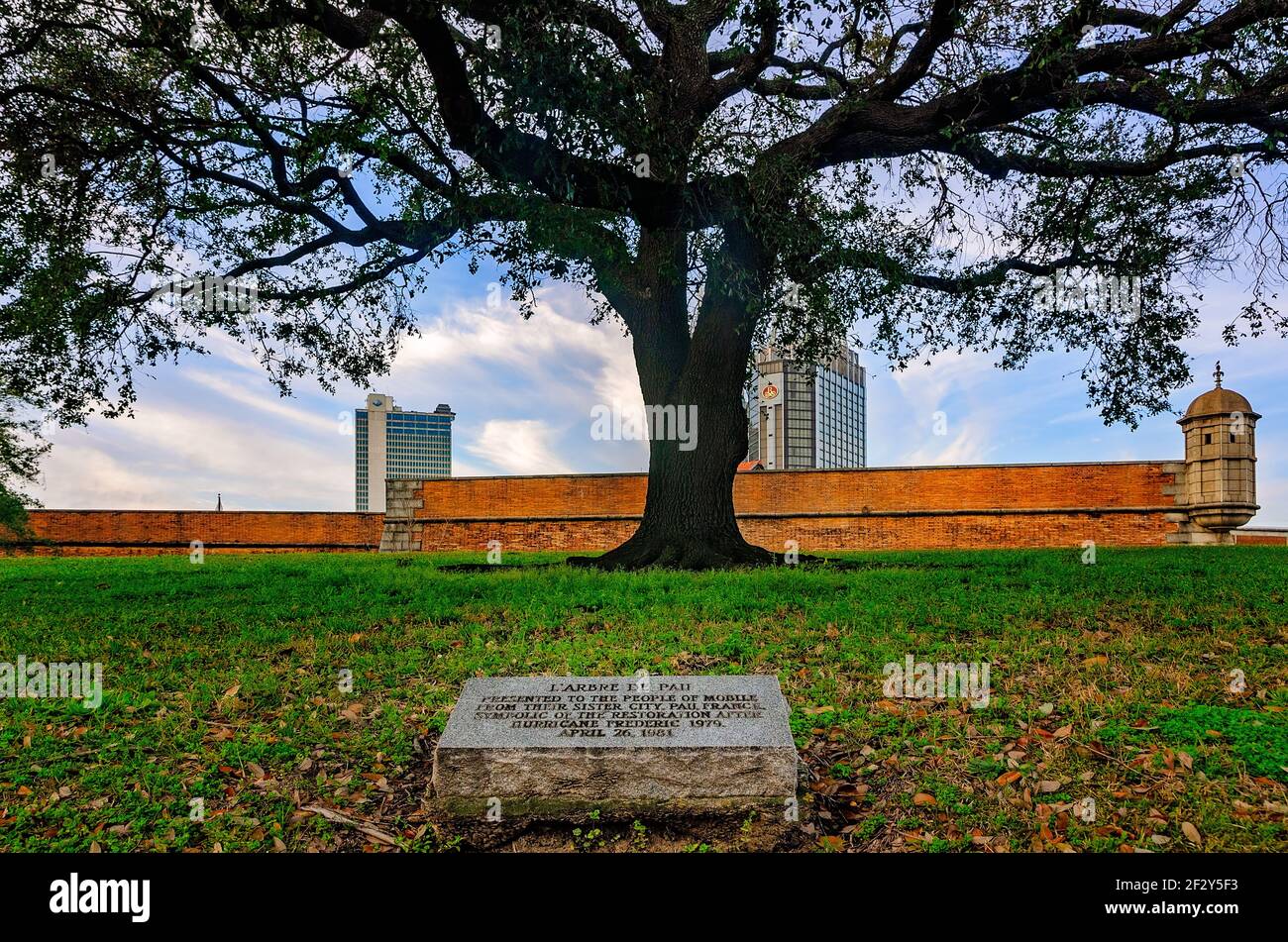 A live oak tree stands beside the Fort of Colonial Mobile as a gift from Mobile’s sister city, Pau, France, after Hurricane Frederic. Stock Photo