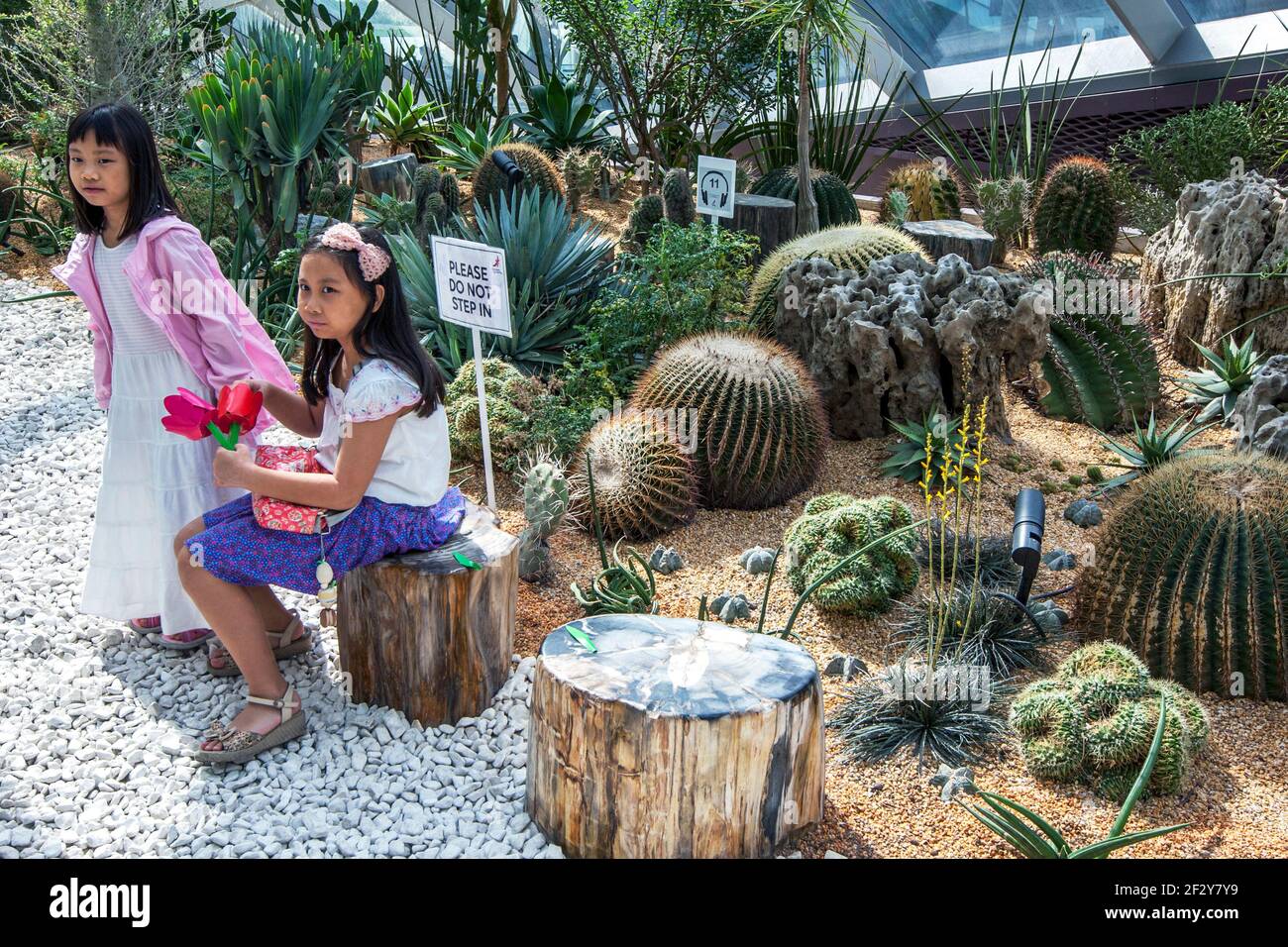 Girls sit in front of a cactus display in the atrium at the Gardens by the Bay in Singapore. Stock Photo