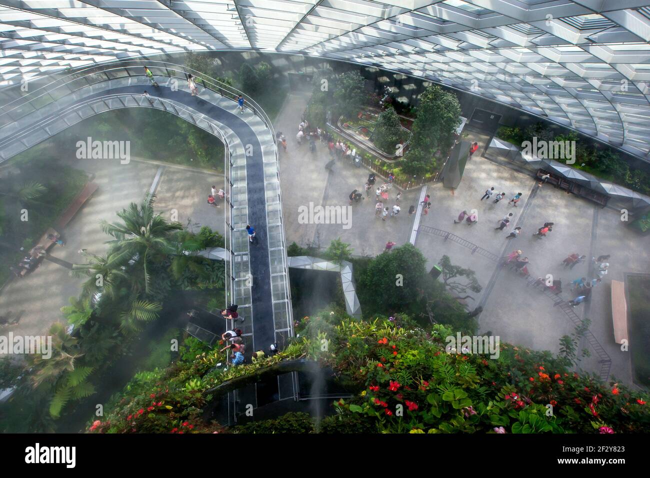 Visitors walk across the sky bridge in the rainforest atrium at the