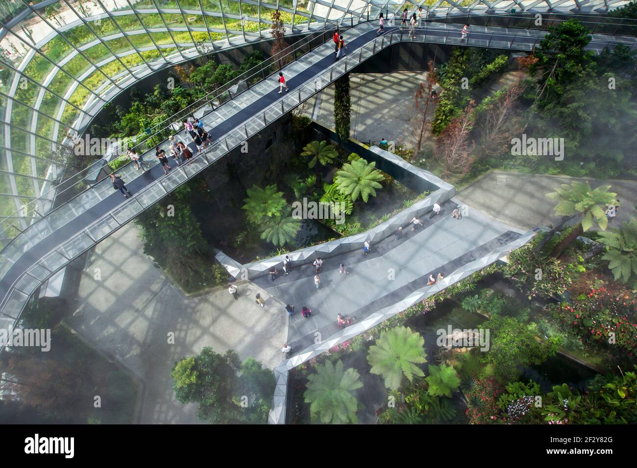 Visitors walk across the sky bridge in the rainforest atrium at the