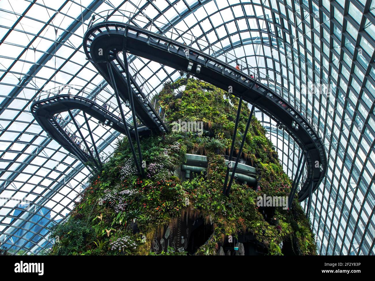 Visitors walk across the sky bridge in the rainforest atrium at the