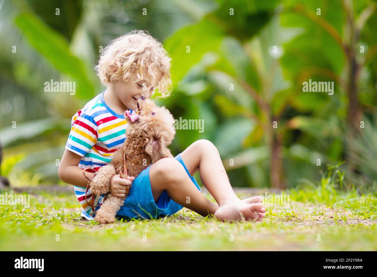 Kids play with cute little puppy. Children and baby dog playing in sunny summer garden. Little boy holding puppies. Child with pet. Stock Photo