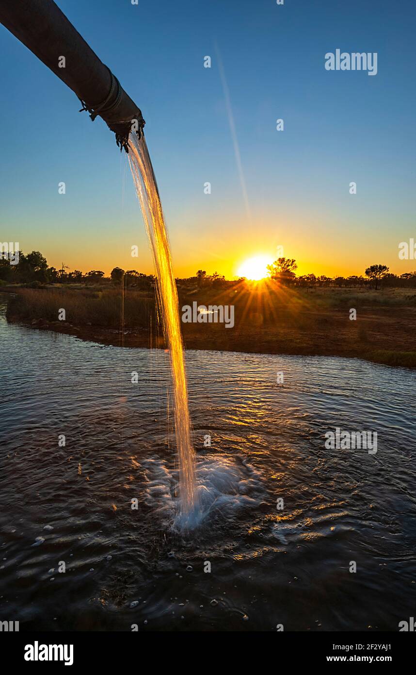 Water flowing from a pipe at Charlotte Plains Hot Bore at sunrise, near