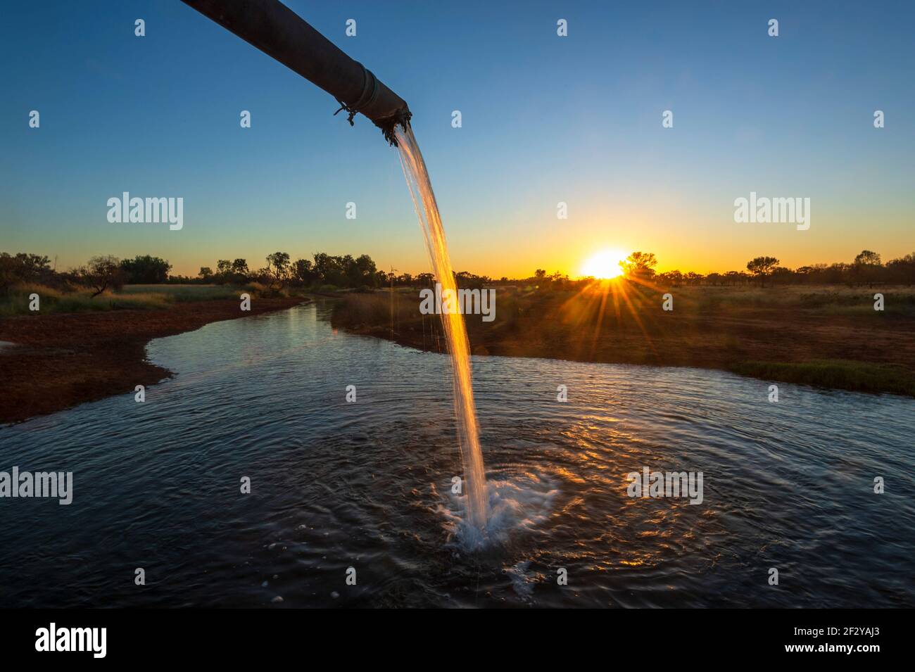 Water flowing from a pipe at Charlotte Plains Hot Bore at sunrise, near