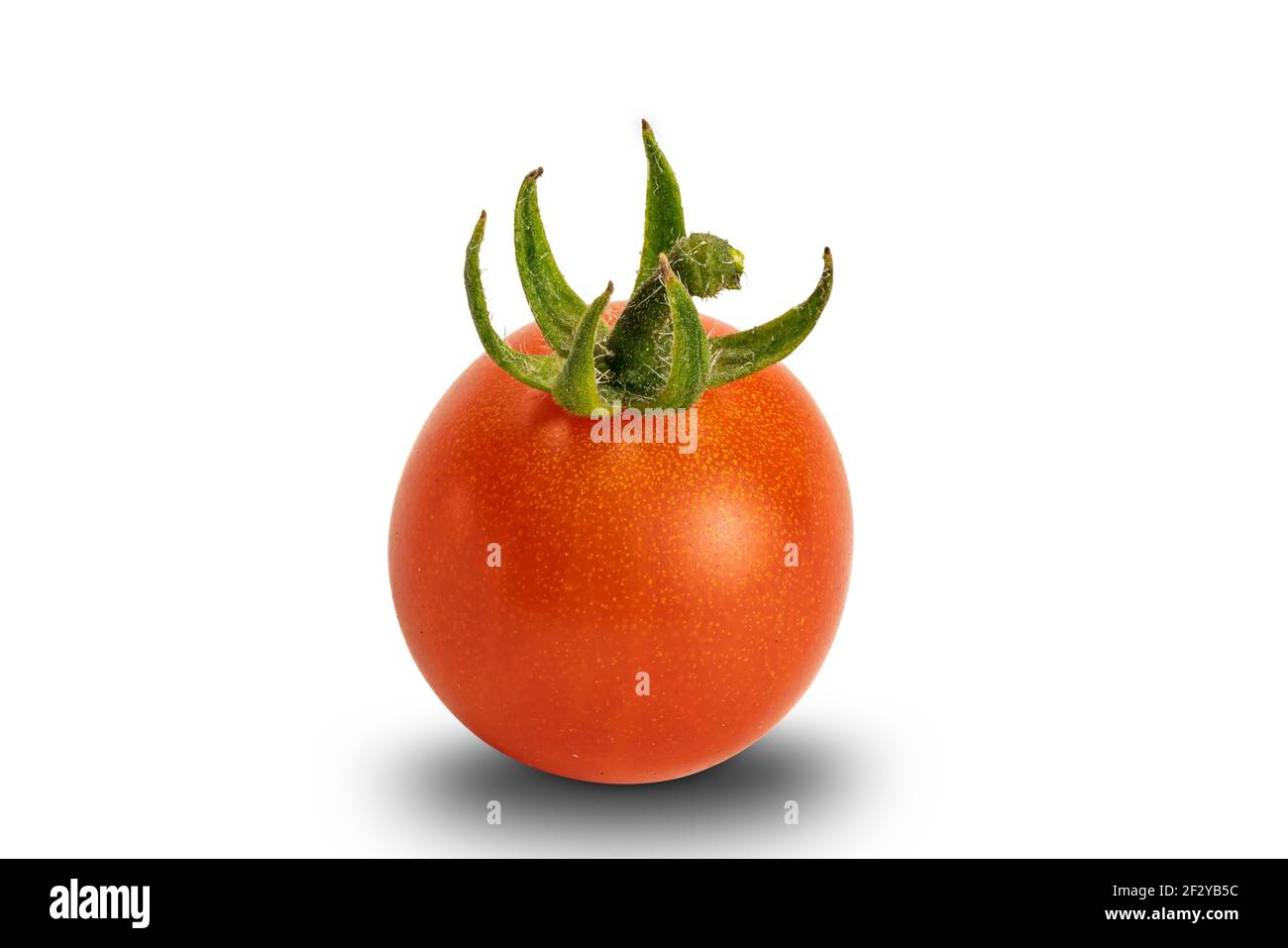 Side view of single freshly harvested red, ripe, juicy tomato isolated ...