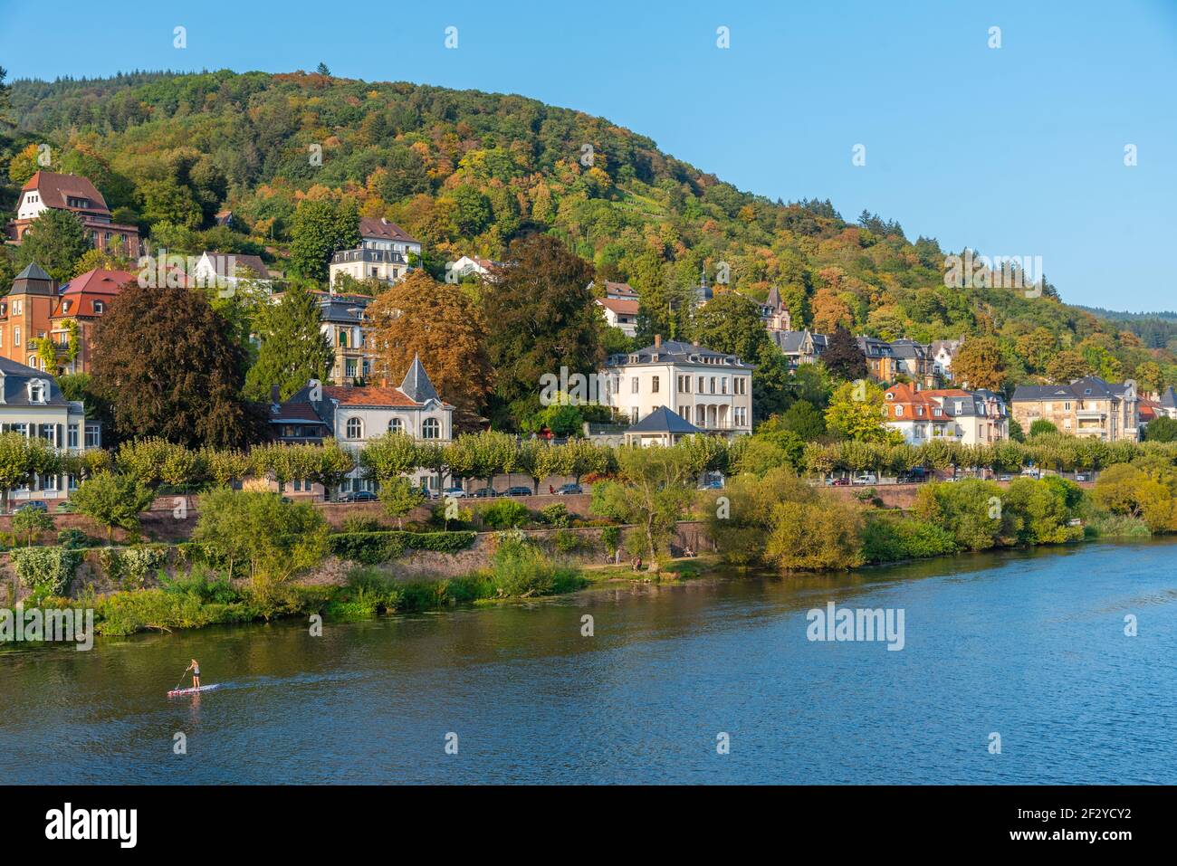 Heidelberg germany mansion baden hi-res stock photography and images ...