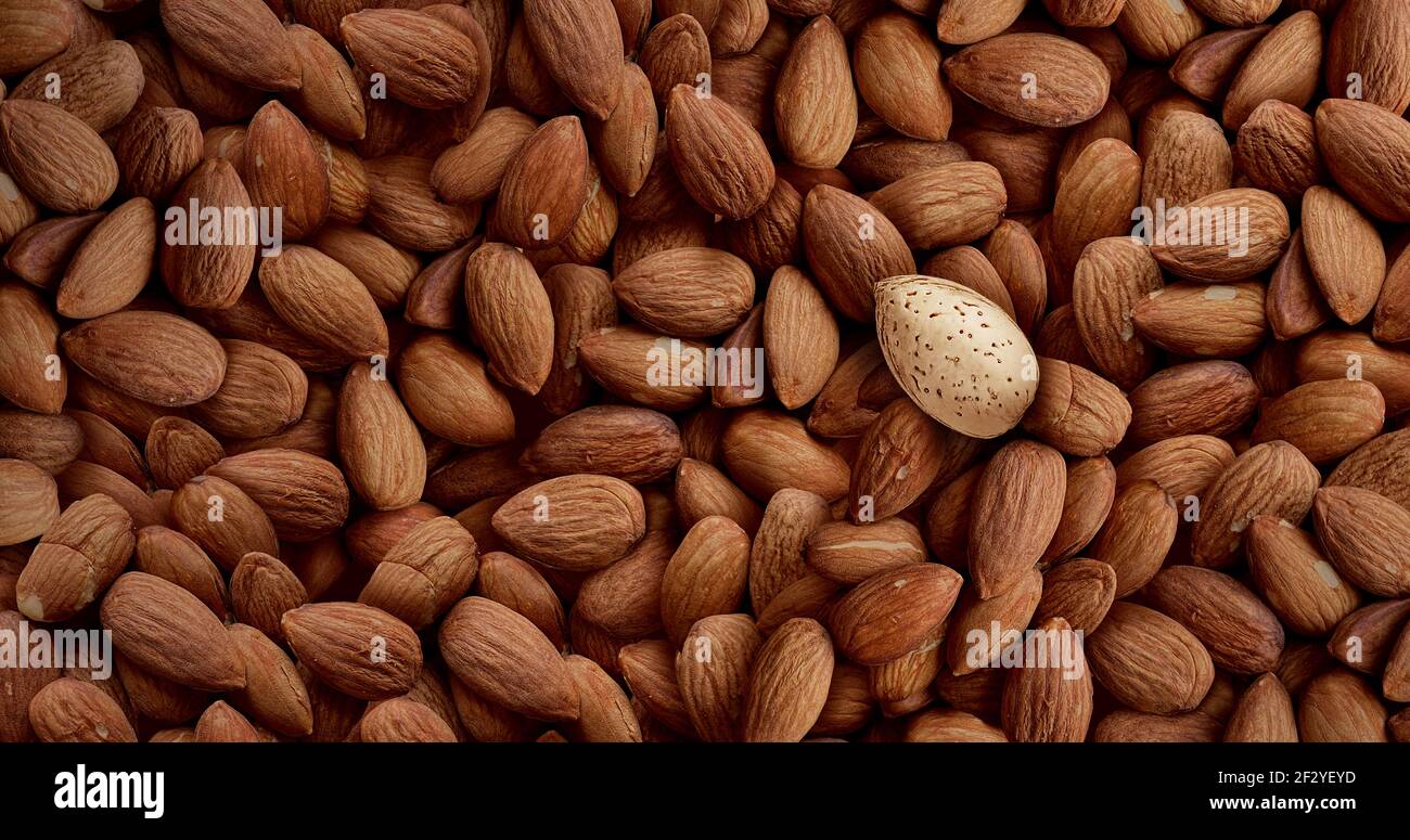 Stand out in a crowd concept and individuality symbol and tough nut or security idea as a group of shelled almonds with one individual almond. Stock Photo