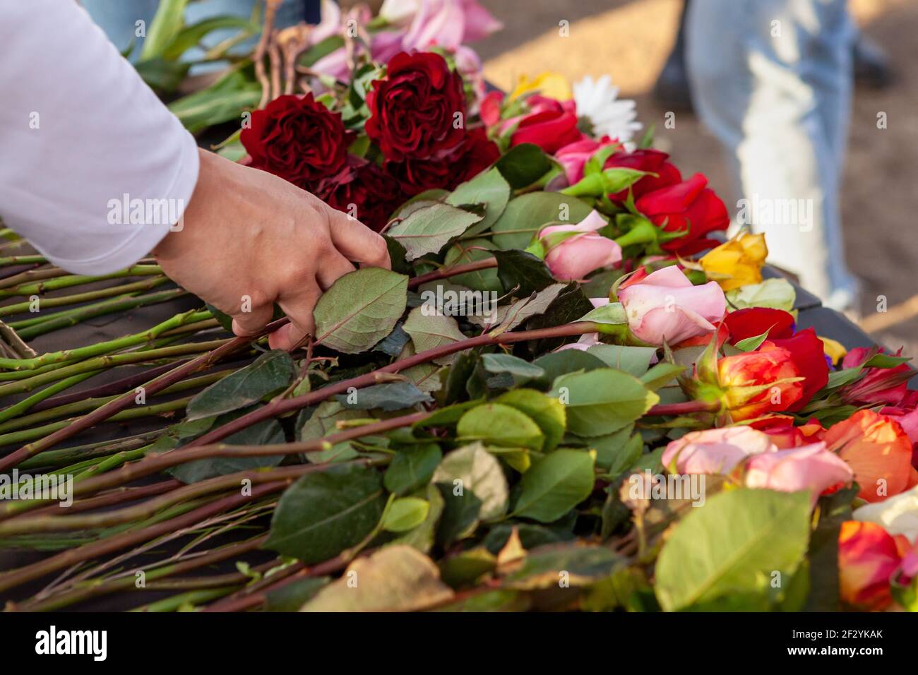Washington, DC, USA, 13 March, 2021. Pictured A volunteer sets out flowers for attendees to