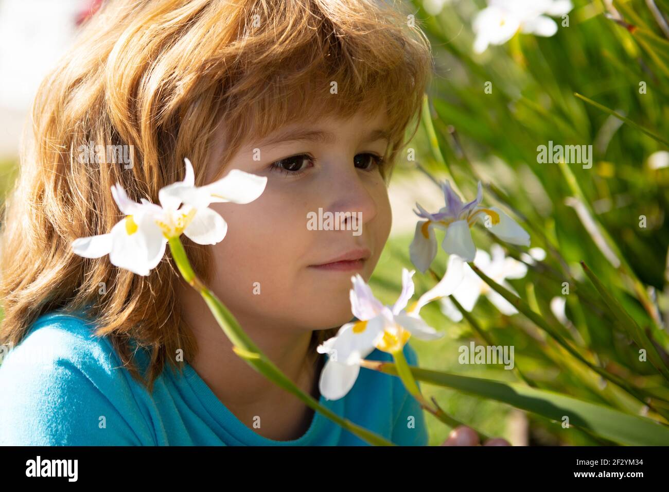 Kids flower allergy. Little boy smelling flowers outdoor. Kid sniffing