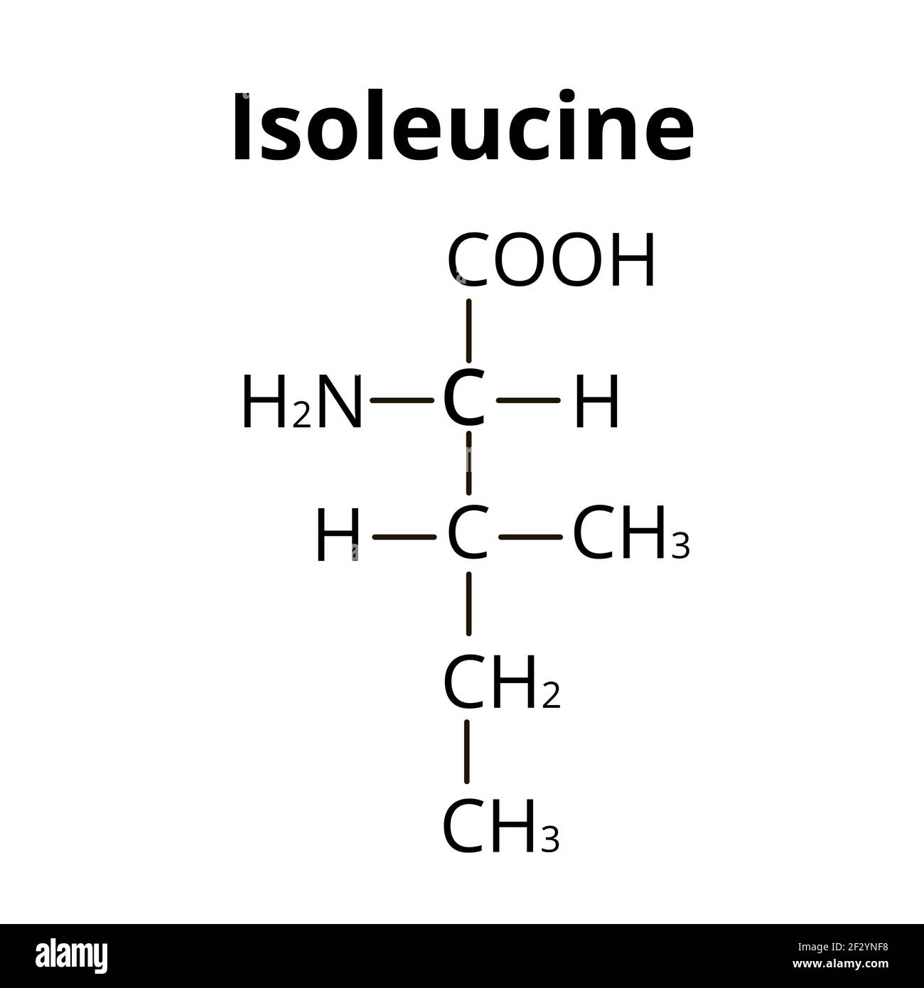Isoleucine amino acid. Chemical molecular formula isoleucine amino acid. Vector illustration on