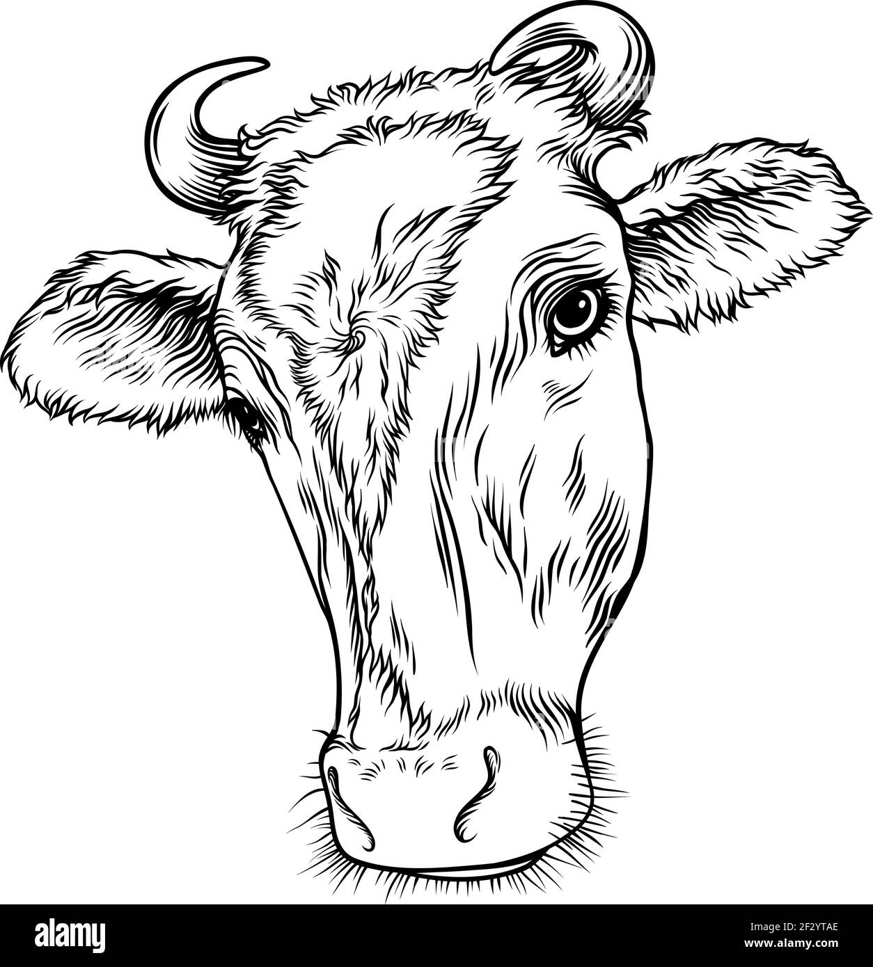 Cow, animal head. Illustration of a red cow. Image for milk and beef products Stock Vector