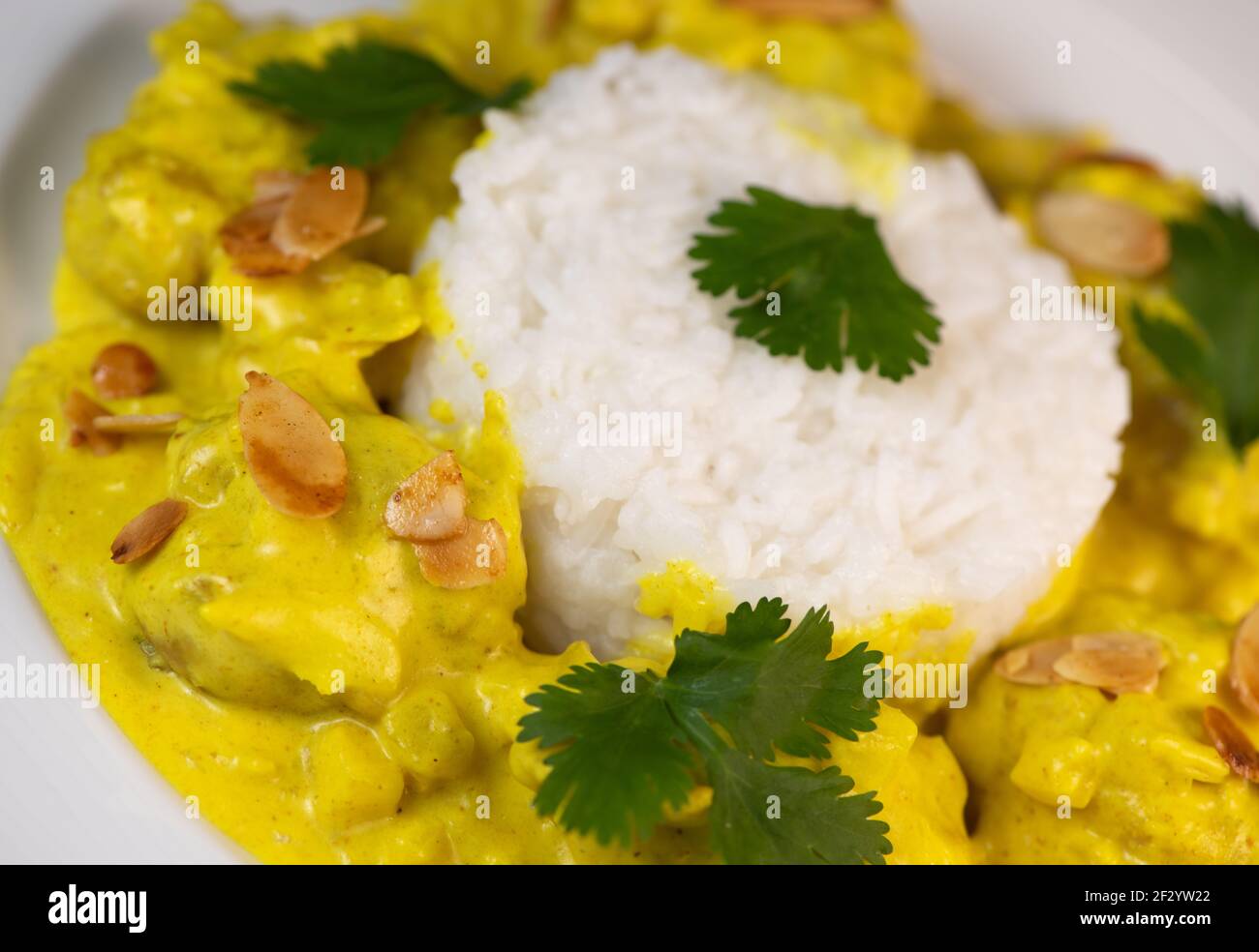 SALTED POULTRY SUGAR CURRY RECIPE, BASMATI RICE WITH CARDAMON Stock