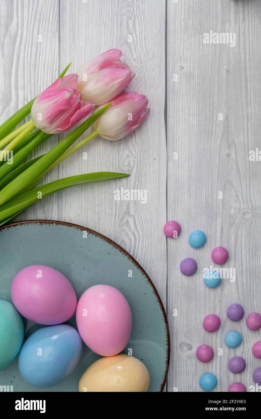 Pastel colored Easter eggs and colored chocolate candy with pink white tulips, against white wooden background. Stock Photo