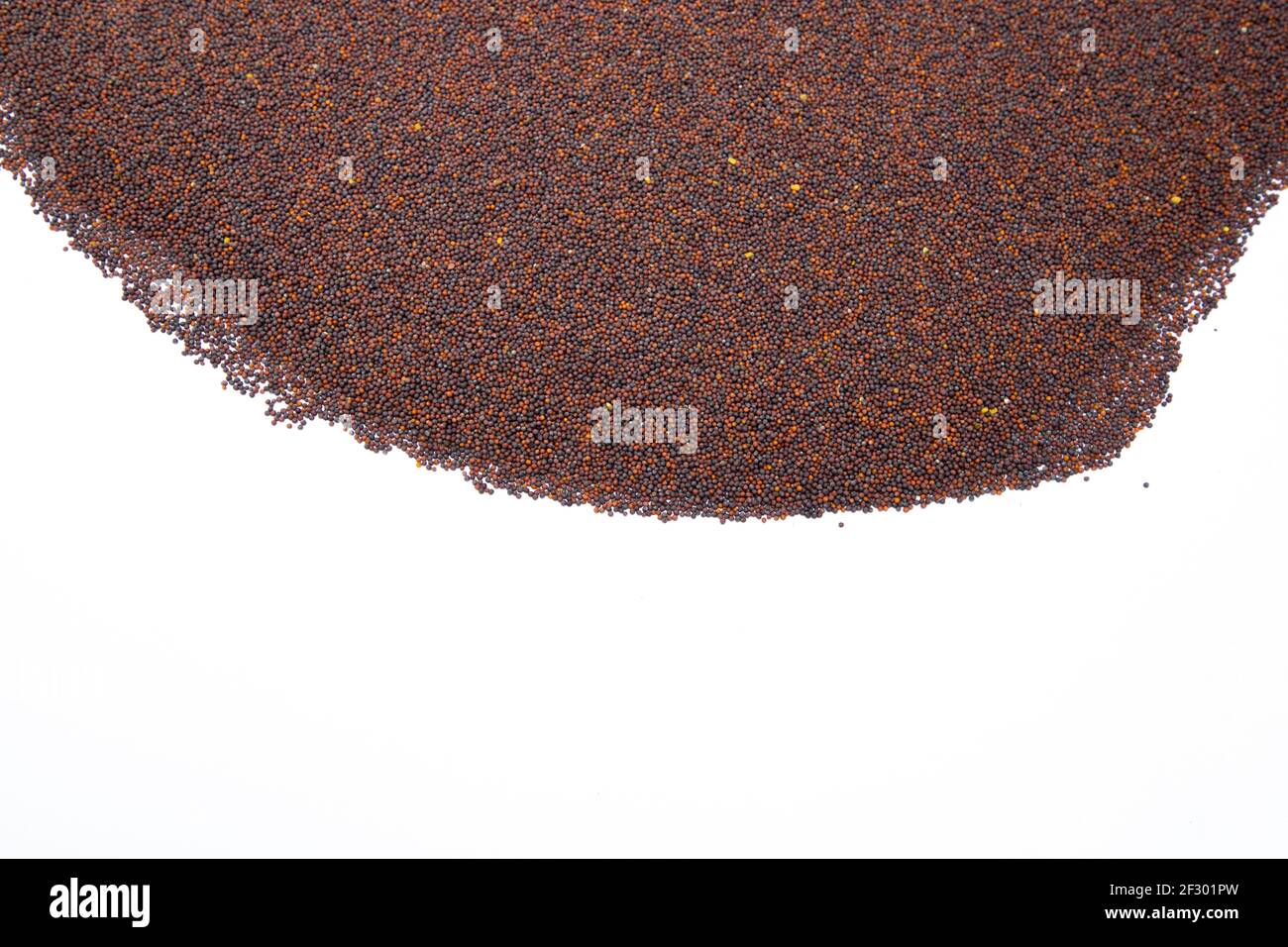 Fresh Onion Background. Full Frame shot Stock Photo Alamy