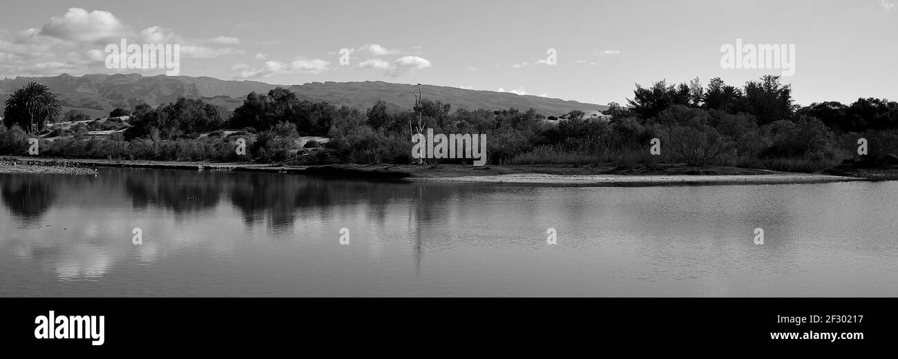 Panoramic black and white image, Charca of Maspalomas, Gran Canaria, Canary Islands Stock Photo