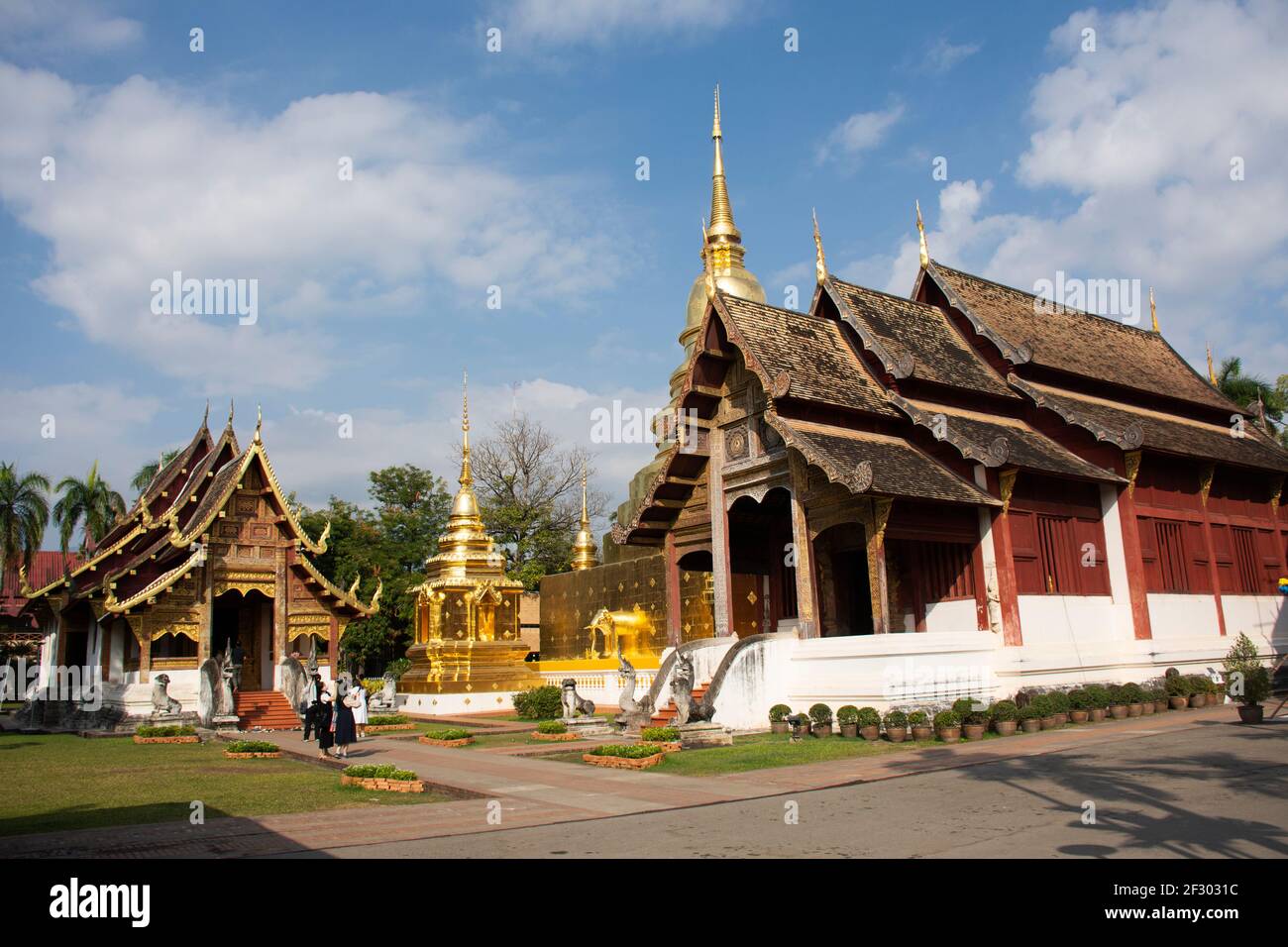 Thai people and foreign traveler travel visit respect praying buddha god angel deity and relics golden chedi stupa at  Wat Phra Singh Woramahaviharn T Stock Photo