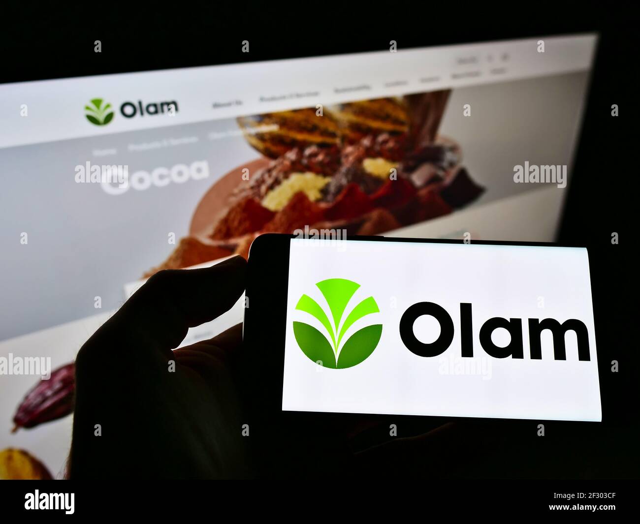Person holding smartphone with logo of agribusiness company Olam International Limited on screen in front of website. Focus on phone display. Stock Photo