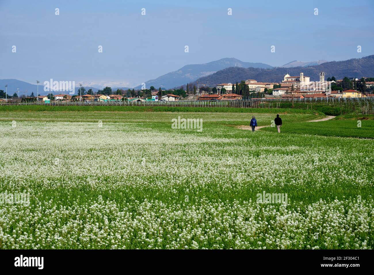 Erbusco (Bs), Italy, a view of the countryside in spring Stock Photo ...
