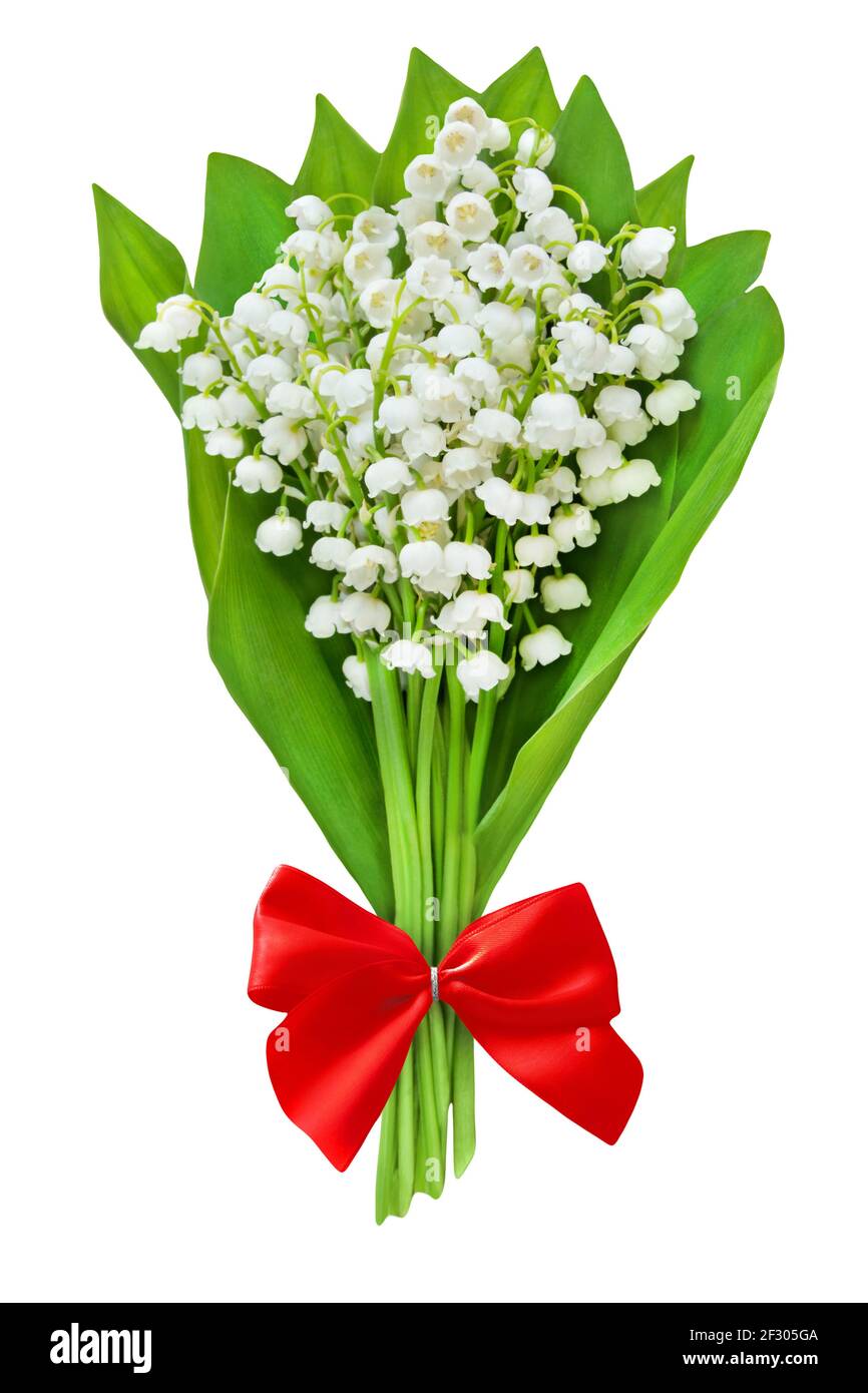 Lily of the Valley and red ribbon Stock Photo