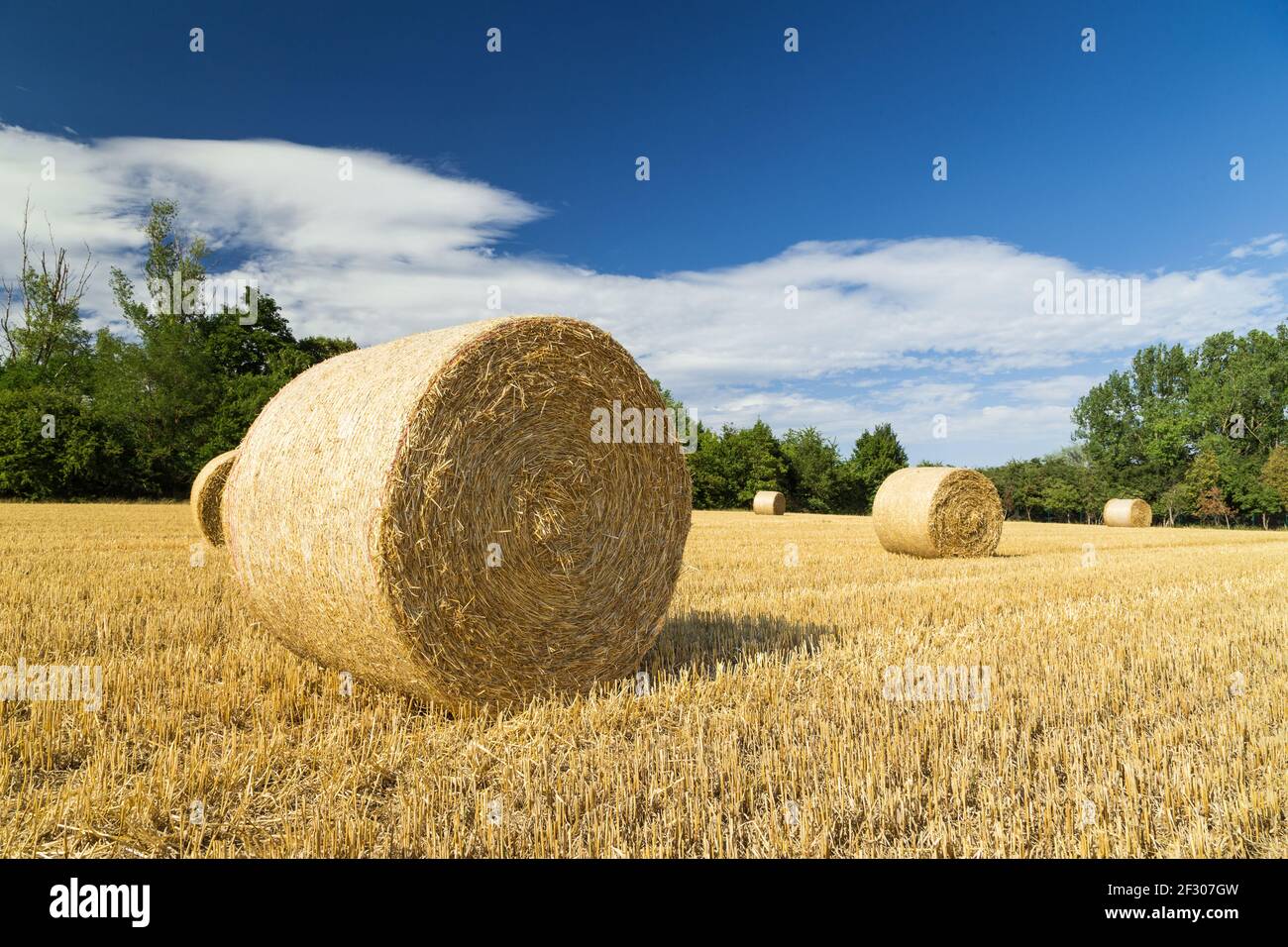 View of wheat field and bales of straw hi-res stock photography and ...