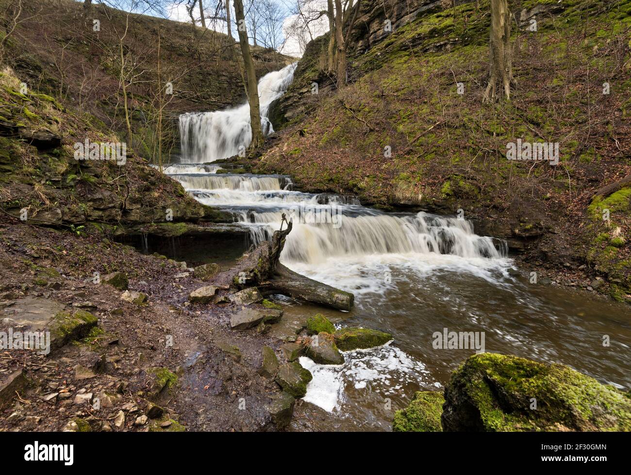 Scaleber Force waterfall, near Settle, Yorkshire Dales National Park, UK. The falls are seen after heavy rain. Stock Photo