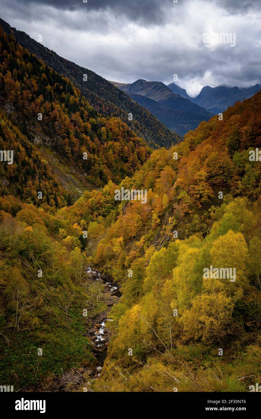 Autumn at Varradòs Valley (Aran Valley, Catalonia, Pyrenees, Spain) ESP: Otoño en el Valle de Varradòs (Valle de Arán, Pirineos, Cataluña, España) Stock Photo