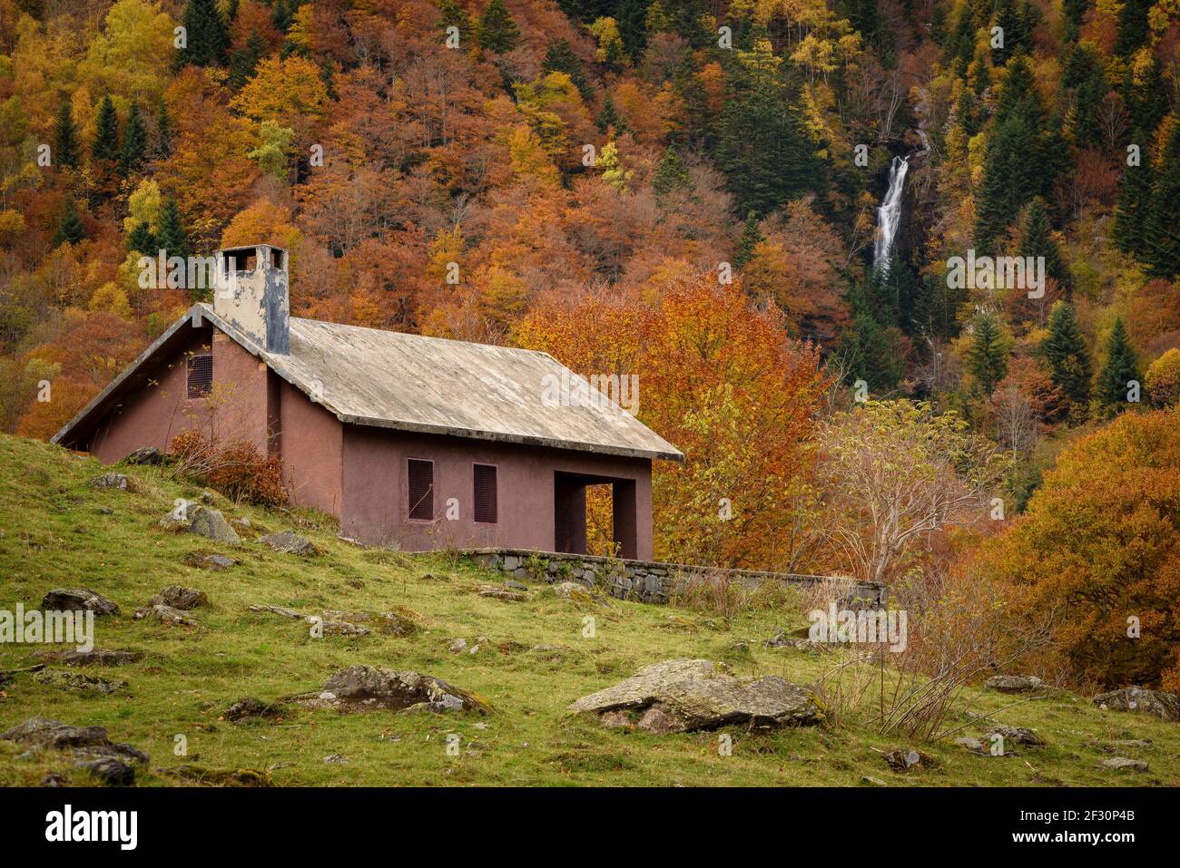 Beech forest in Artiga de Lin Valley, during autumn (Aran Valley, Catalonia, Spain, Pyrenees) ESP: Hayedo del valle de Artiga de Lin, en otoño Stock Photo