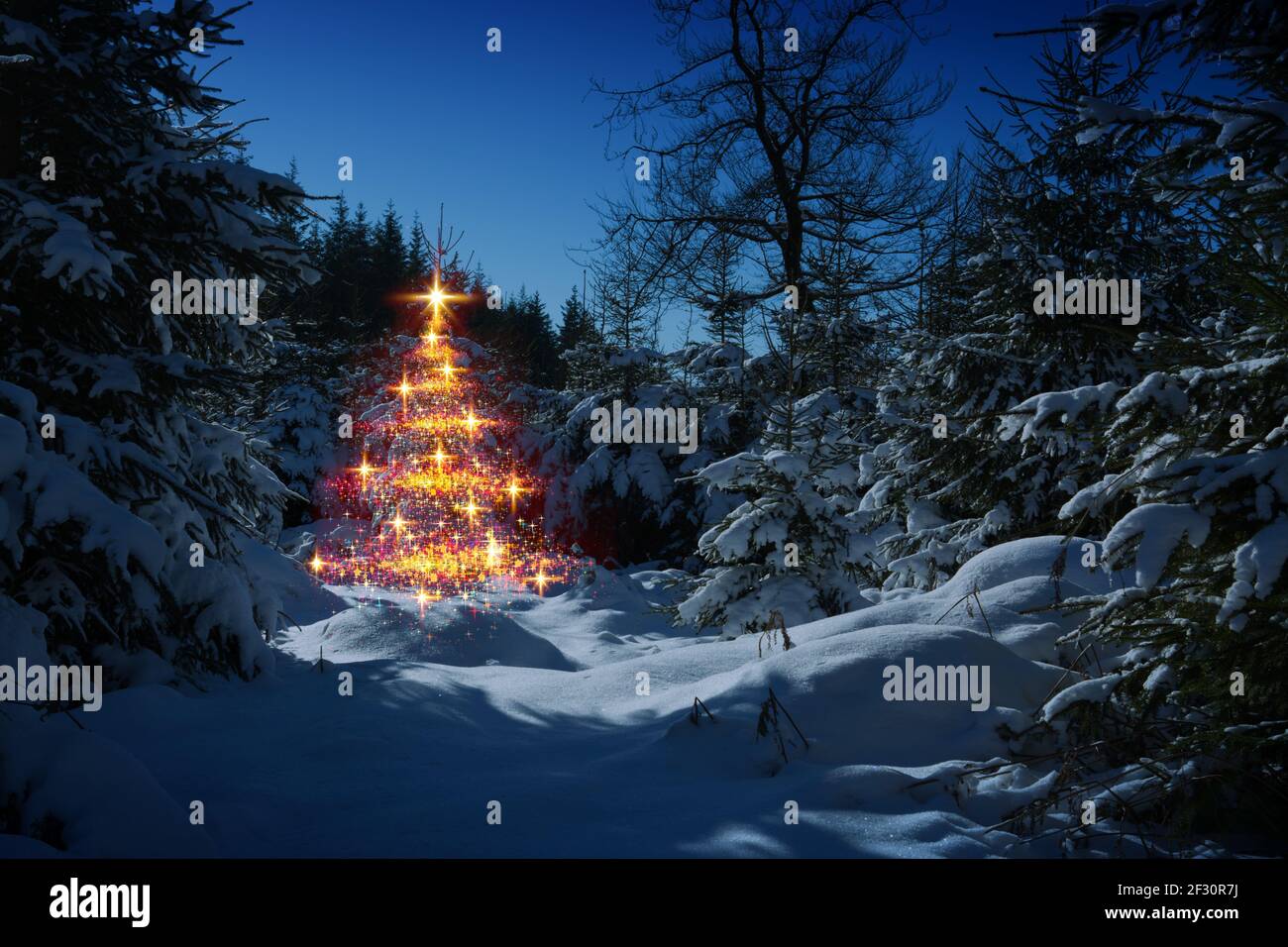 Christmas tree in winter forest wih snow. Christmas Card. Stock Photo