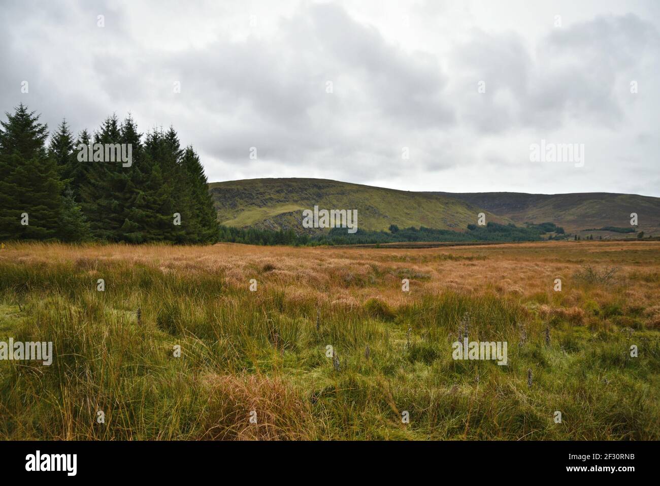 Autumn landscape in the countryside of County Wicklow in Leinster, Ireland. Stock Photo