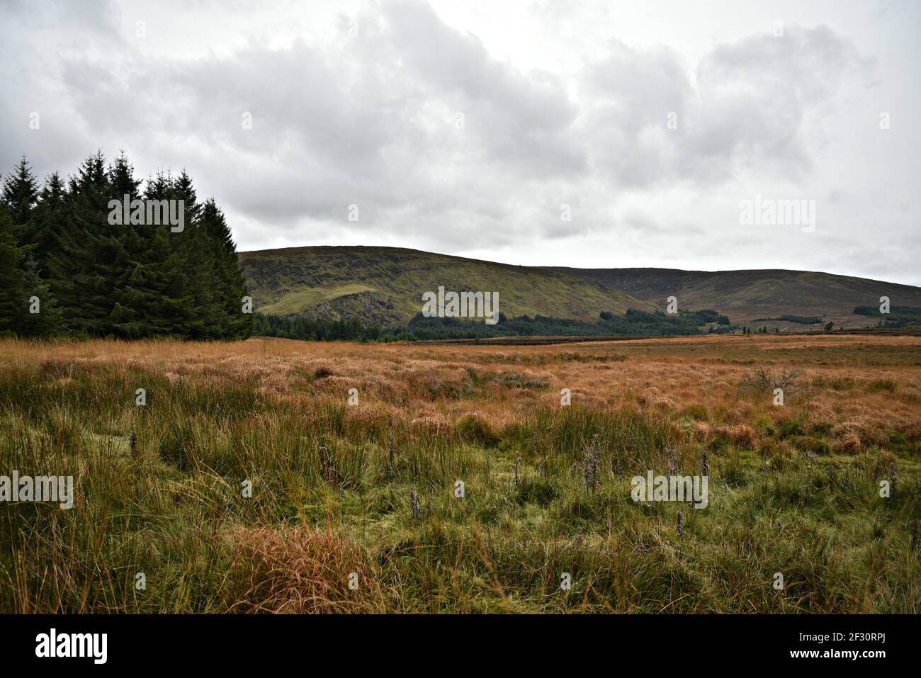 Autumn landscape in the countryside of County Wicklow in Leinster, Ireland. Stock Photo