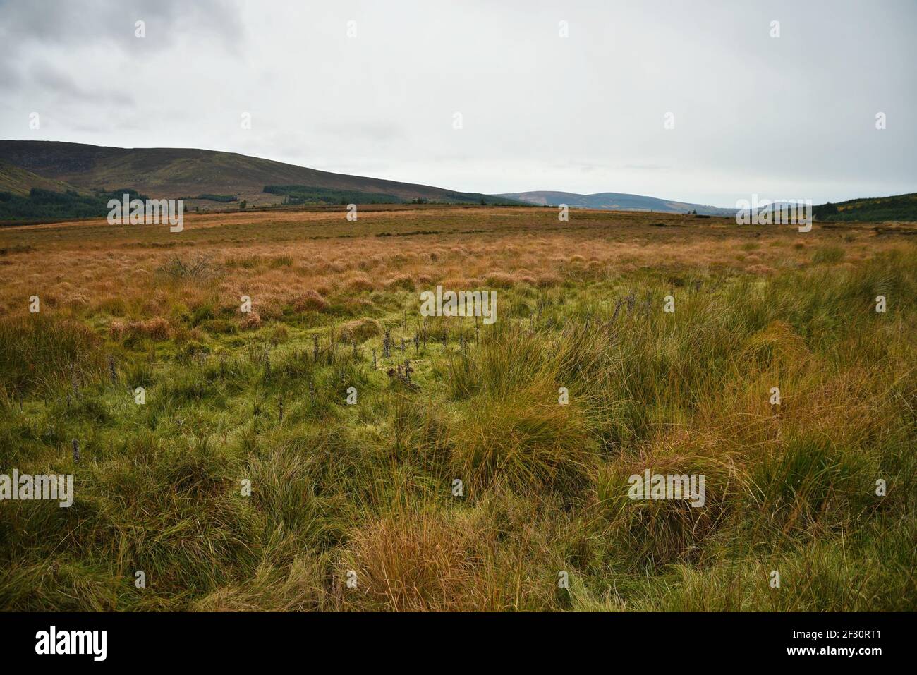 Autumn landscape in the countryside of County Wicklow in Leinster, Ireland. Stock Photo