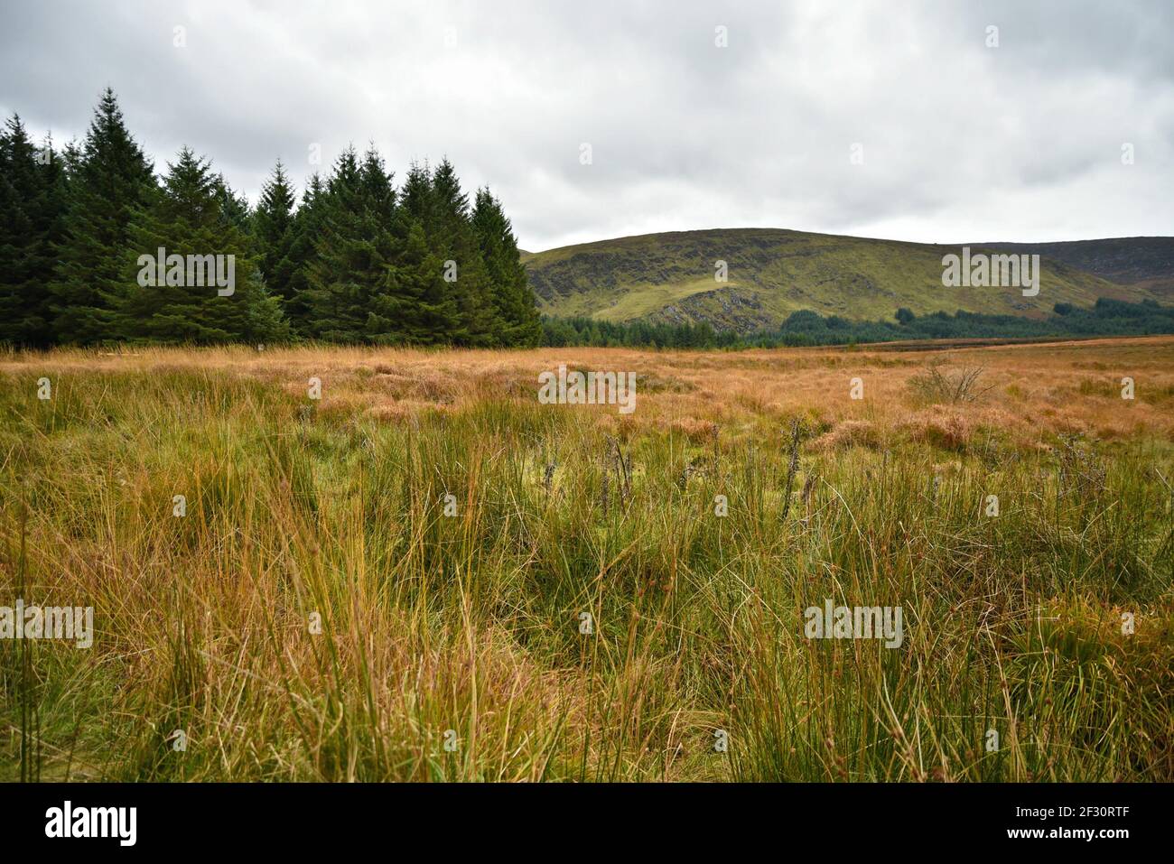 Autumn landscape in the countryside of County Wicklow in Leinster, Ireland. Stock Photo