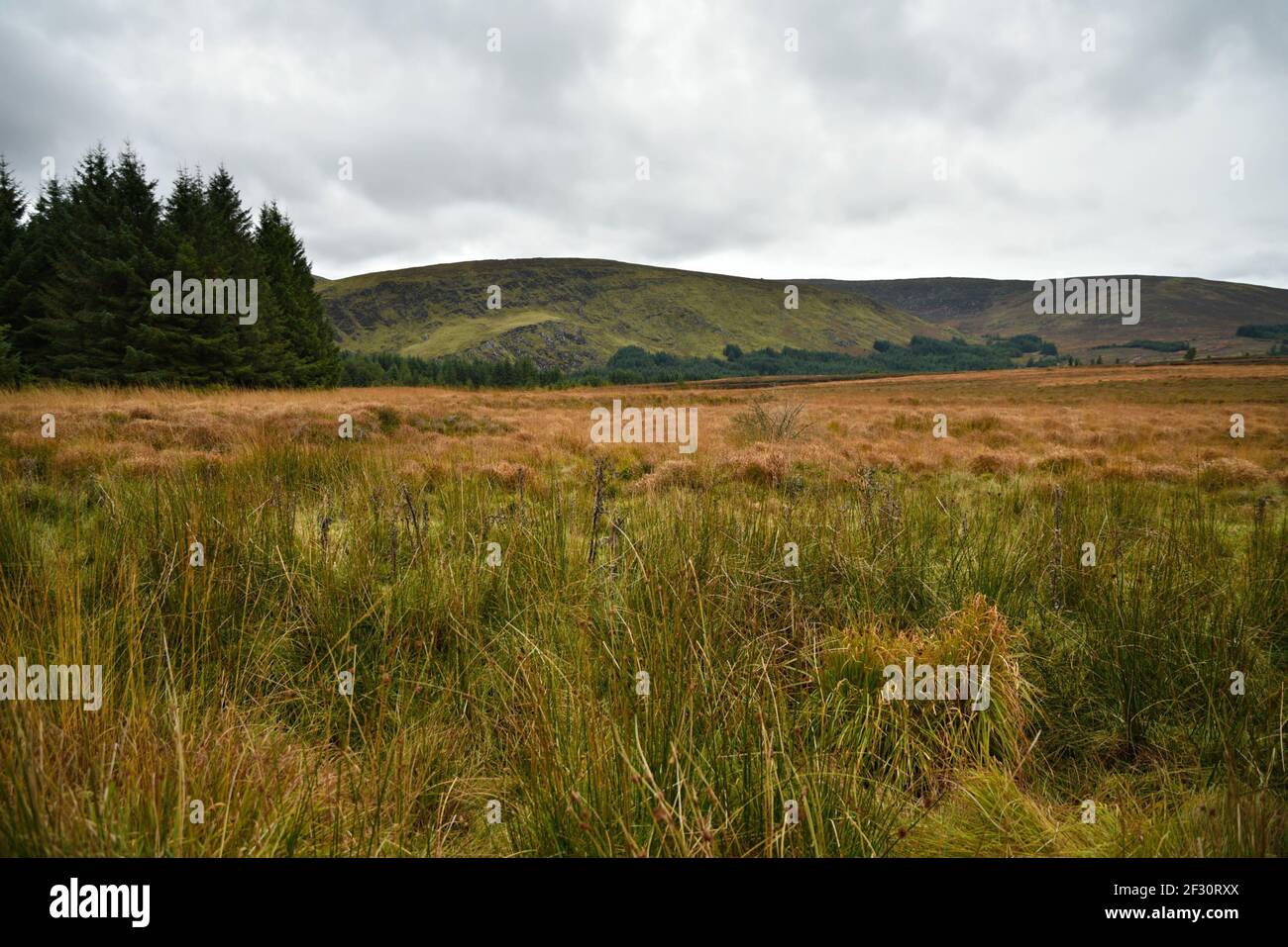 Autumn landscape in the countryside of County Wicklow in Leinster, Ireland. Stock Photo
