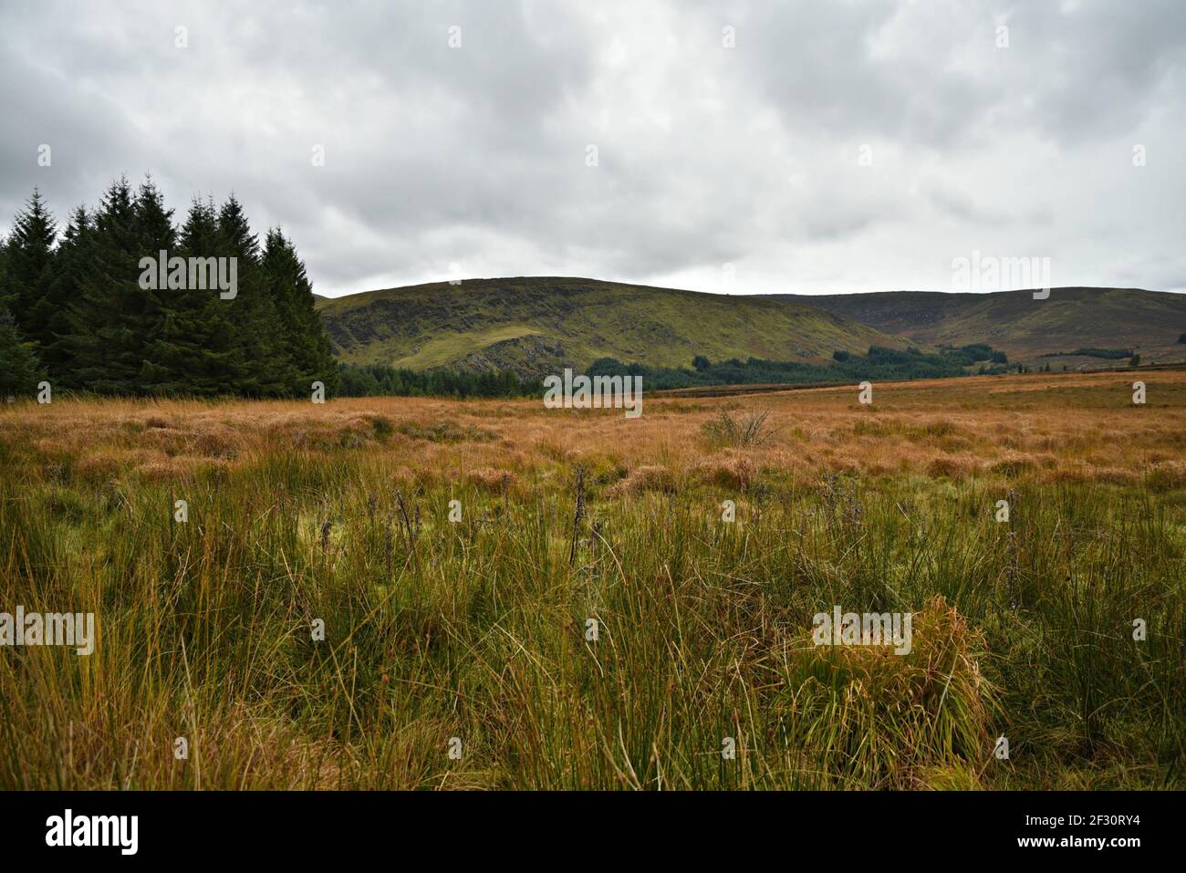 Autumn landscape in the countryside of County Wicklow in Leinster, Ireland. Stock Photo