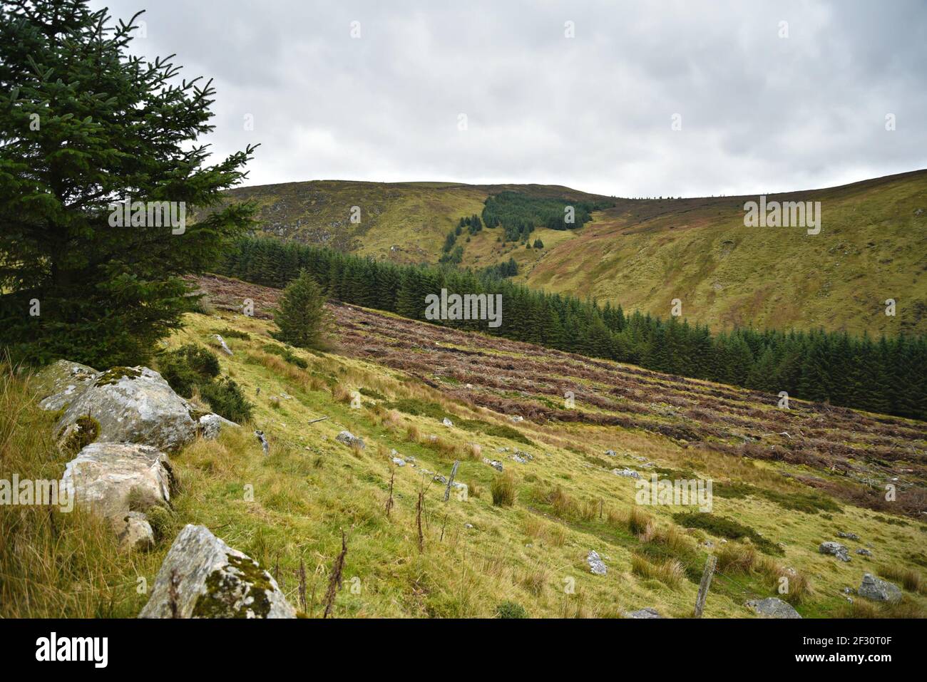 Autumn landscape in the countryside of County Wicklow in Leinster, Ireland. Stock Photo
