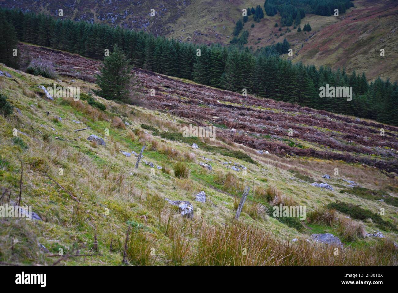 Autumn landscape in the countryside of County Wicklow in Leinster, Ireland. Stock Photo