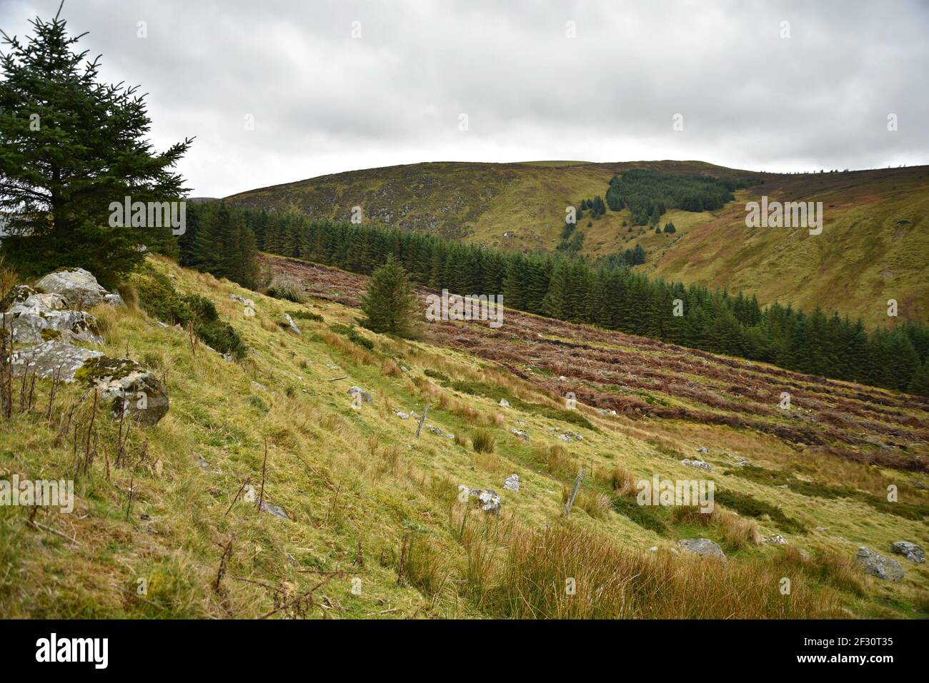Autumn landscape in the countryside of County Wicklow in Leinster, Ireland. Stock Photo