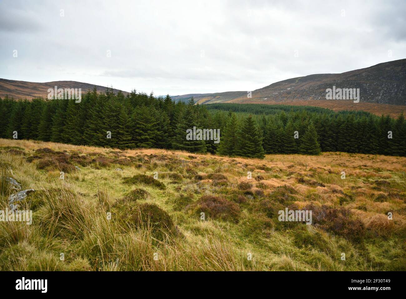 Autumn landscape in the countryside of County Wicklow in Leinster, Ireland. Stock Photo