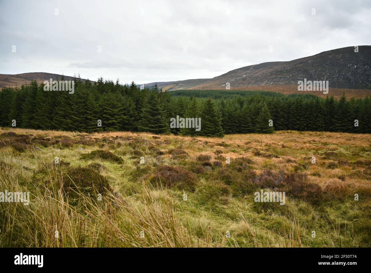 Autumn landscape in the countryside of County Wicklow in Leinster, Ireland. Stock Photo