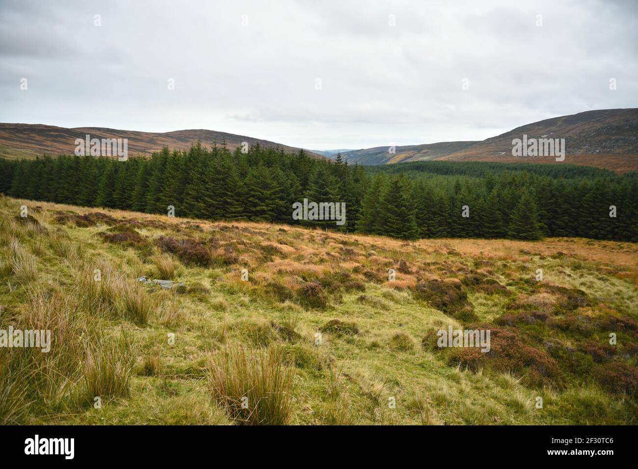 Autumn landscape in the countryside of County Wicklow in Leinster, Ireland. Stock Photo
