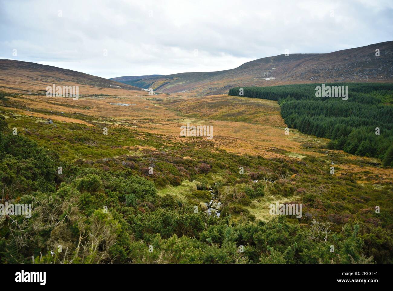 Autumn landscape in the countryside of County Wicklow in Leinster, Ireland. Stock Photo