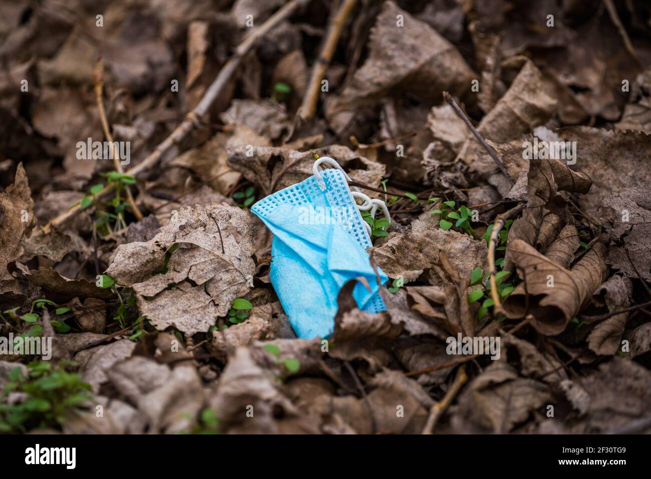 Blue surgical mask throw up in the nature decomposed between autumn leaves Stock Photo