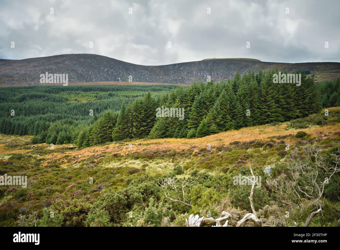 Autumn landscape in the countryside of County Wicklow in Leinster, Ireland. Stock Photo