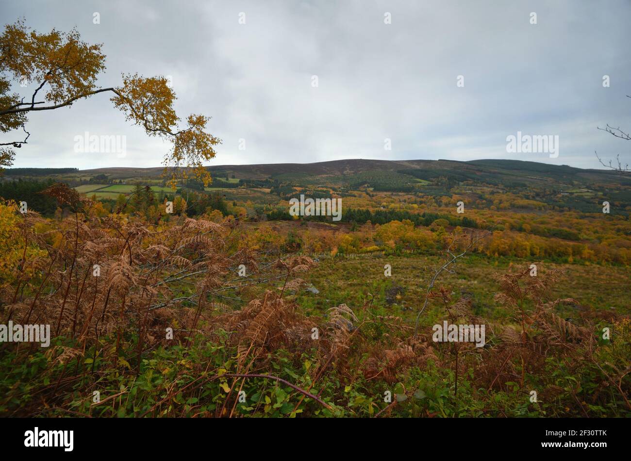 Autumn landscape in the countryside of County Wicklow in Leinster, Ireland. Stock Photo